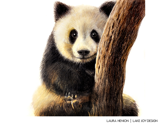 Laura-Henion-22