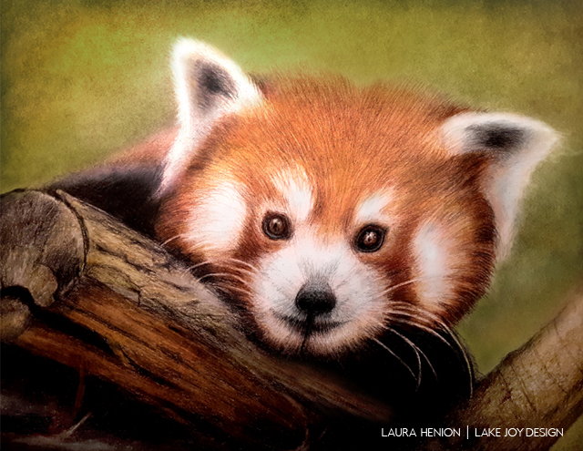 Laura-Henion-23
